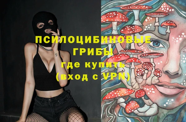 крисы Армянск