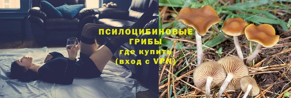 спайс Аркадак
