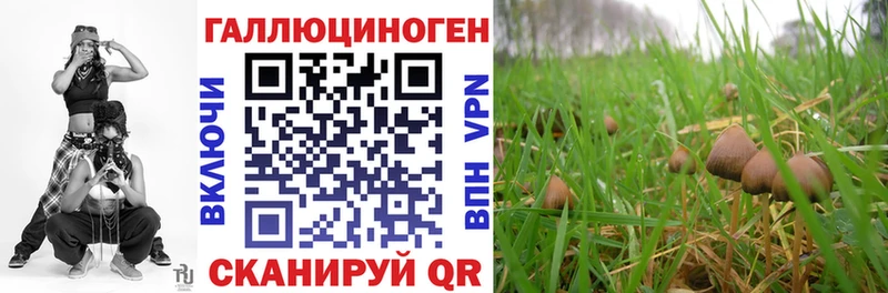 KRAKEN   сколько стоит  Цивильск  Галлюциногенные грибы Psilocybine cubensis 